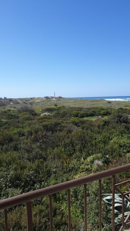 Ancient Paphos - Cozy Place Next To The Sea, Marina, Historical Sites, Buses, Mall, And Market Εξωτερικό φωτογραφία