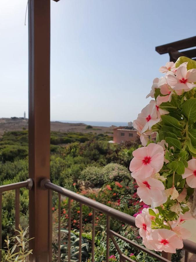 Ancient Paphos - Cozy Place Next To The Sea, Marina, Historical Sites, Buses, Mall, And Market Εξωτερικό φωτογραφία