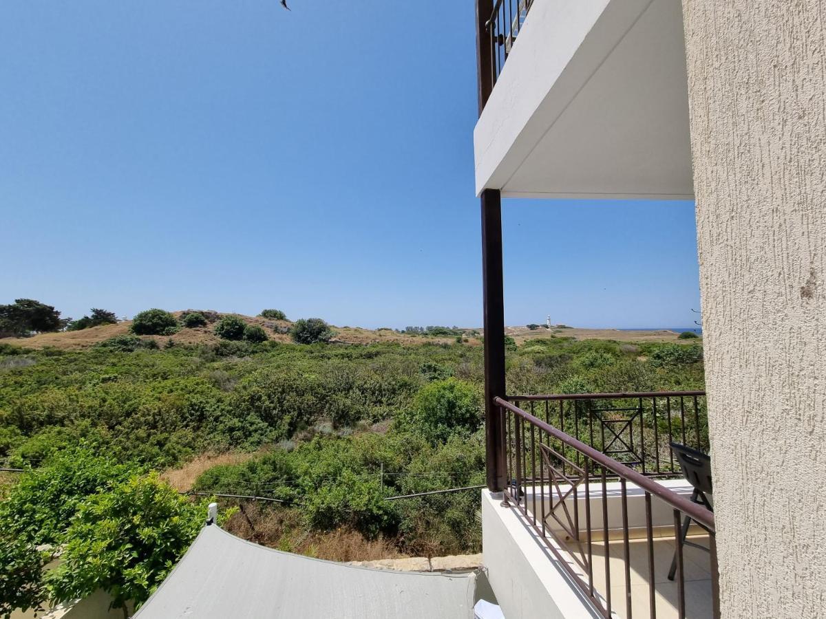 Ancient Paphos - Cozy Place Next To The Sea, Marina, Historical Sites, Buses, Mall, And Market Εξωτερικό φωτογραφία