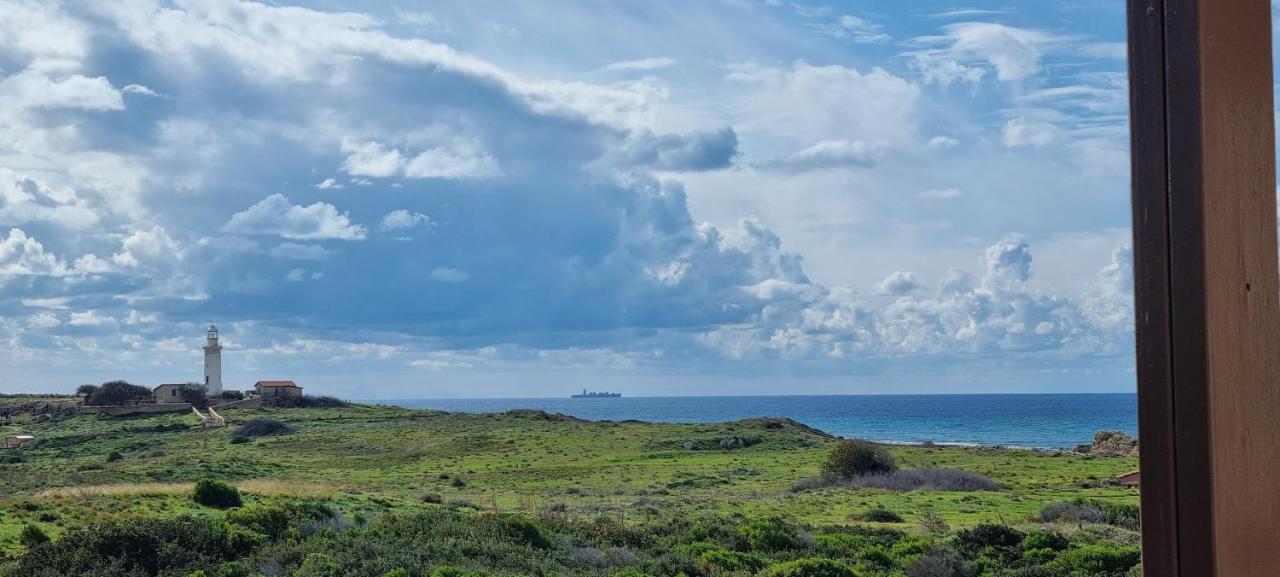 Ancient Paphos - Cozy Place Next To The Sea, Marina, Historical Sites, Buses, Mall, And Market Εξωτερικό φωτογραφία
