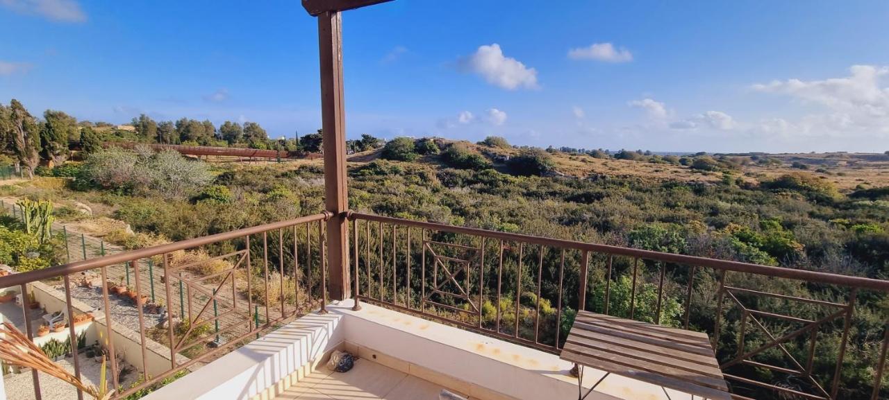 Ancient Paphos - Cozy Place Next To The Sea, Marina, Historical Sites, Buses, Mall, And Market Εξωτερικό φωτογραφία