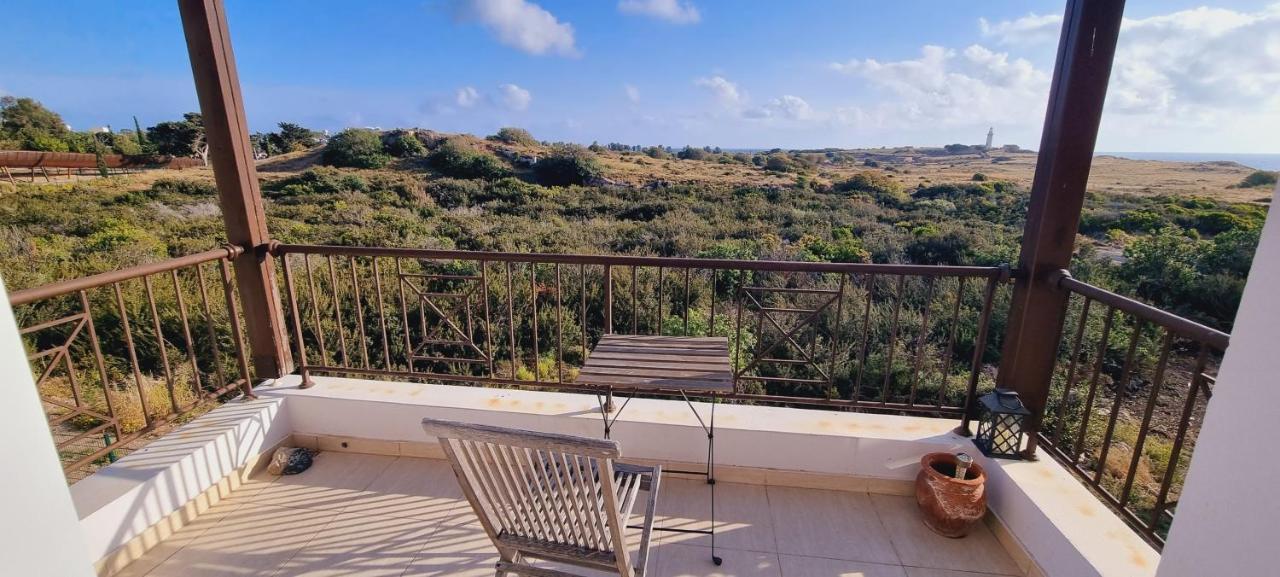 Ancient Paphos - Cozy Place Next To The Sea, Marina, Historical Sites, Buses, Mall, And Market Εξωτερικό φωτογραφία