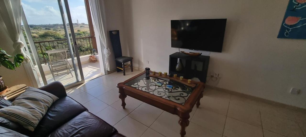Ancient Paphos - Cozy Place Next To The Sea, Marina, Historical Sites, Buses, Mall, And Market Εξωτερικό φωτογραφία