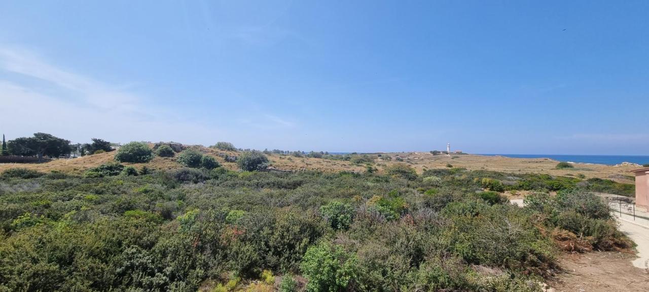 Ancient Paphos - Cozy Place Next To The Sea, Marina, Historical Sites, Buses, Mall, And Market Εξωτερικό φωτογραφία